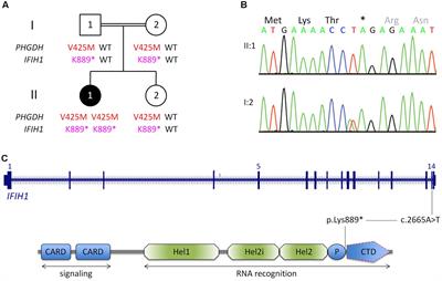 Recurrent and Prolonged Infections in a Child with a Homozygous IFIH1 Nonsense Mutation